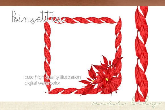 Christmas Poinsettia Square Wreath Illustrations